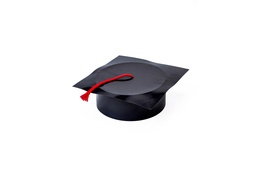 [0453] GORRO EGRESADO PLASTICO x1 (LP02)